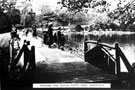 Feeding the Ducks at Firth Park Duck Pond