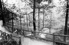 Graves Park, Footbridge