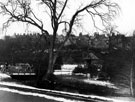 View: s11157 Endcliffe Park. Bridge over River Porter and drinking fountain