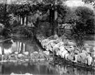 Stepping Stones on the River Porter, Endcliffe Park