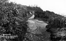 Footpath at top of Cobnar Road, Bolehill, Woodseats