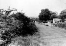 Skelton Lane, Beighton, before development