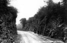 Eckington Road known locally as 'The Cutting', Beighton, alterations completed March 1915