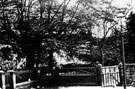 Front garden and drivewayto the old Vicarage, Highgate, Tinsley