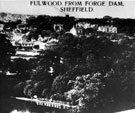 Fulwood from Forge Dam