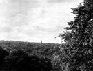 View: s11702 General view from Sheffield General Cemetery looking towards King Edward VII School and St. Mark's, Broomhill