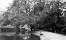 Dam, Endcliffe Woods