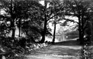 Endcliffe Park Boating Lake, previously the dam belonging to the Holme (Second Endcliffe) Grinding Wheel