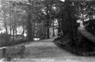 View: s11892 Woods, Endcliffe Park