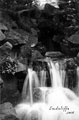 Waterfall, Endcliffe Woods