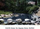 View: s11917 Stepping Stones, Endcliffe Park