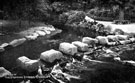 Stepping Stones, Endcliffe Park