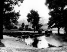 View: s11922 Stepping Stones, Endcliffe Park