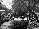 River Porter, Endcliffe Park