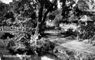 Bridge and drinking fountain shelter, Endcliffe Park