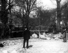 Bridge, Endcliffe Woods