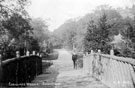 Bridge, Endcliffe Woods