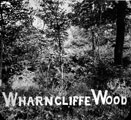 Wharncliffe Woods