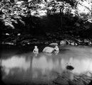 Beeley Wood, children bathing