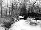 Beeley Wood, footbridge