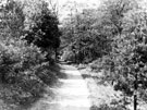 Wyming Brook, Footpath