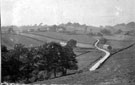 Birley Edge, Midhurst Road, showing Lapwater ('Lapwatter'), Lapwater Cottage in distance