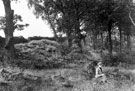 Rivelin Valley, near Bell Hagg