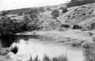 Rivelin Valley, General view