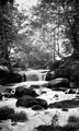 Rivelin Glen, River Rivelin