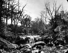 River Rivelin, Rivelin Valley