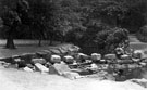 Stepping stones, River Porter, Endcliffe Park