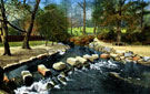 Stepping stones, River Porter, Endcliffe Park