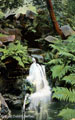 View: s12191 Waterfall, River Porter, Endcliffe Park