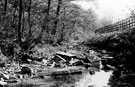 River Sheaf at Beauchief