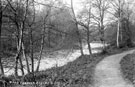 River Don, Beeley Wood