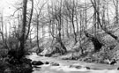 River Rivelin, Rivelin Valley