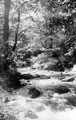 River Rivelin, Rivelin Valley