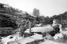 River Rivelin, the inlet for Upper Cut Wheel