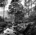 River Rivelin, Hollow Meadows