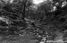 Looking up the valley, Black Brook, Lodge Moor