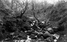 Black Brook, Lodge Moor