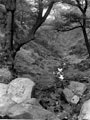 Elliott Stone, Black Brook, christened 'Ribbledin' by the poet Elliott