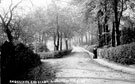 Endcliffe Crescent, 1895-1915