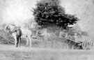 Three horse cart, Fairhouse Lane, Low Bradfield