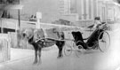 Unidentified lady in horse and carriage in unidentified location