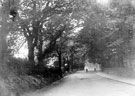 Fulwood Road, 1895-1915