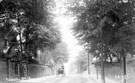 Fulwood Road, 1895-1915, lodge on left is most probably Lodge for Birchlands