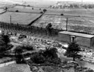 Demolition of the Tuberculosis huts, Crimicar Lane