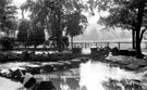 Stepping stones, Endcliffe Woods