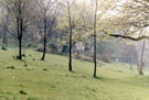 View: t00633 General Cemetery